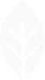 Außenanlagen